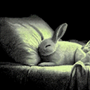 sleepy_bunny